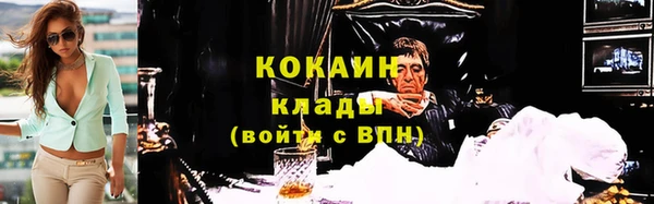 ГАЛЛЮЦИНОГЕННЫЕ ГРИБЫ Арсеньев